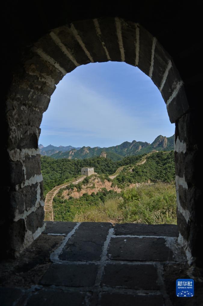 新濠三元